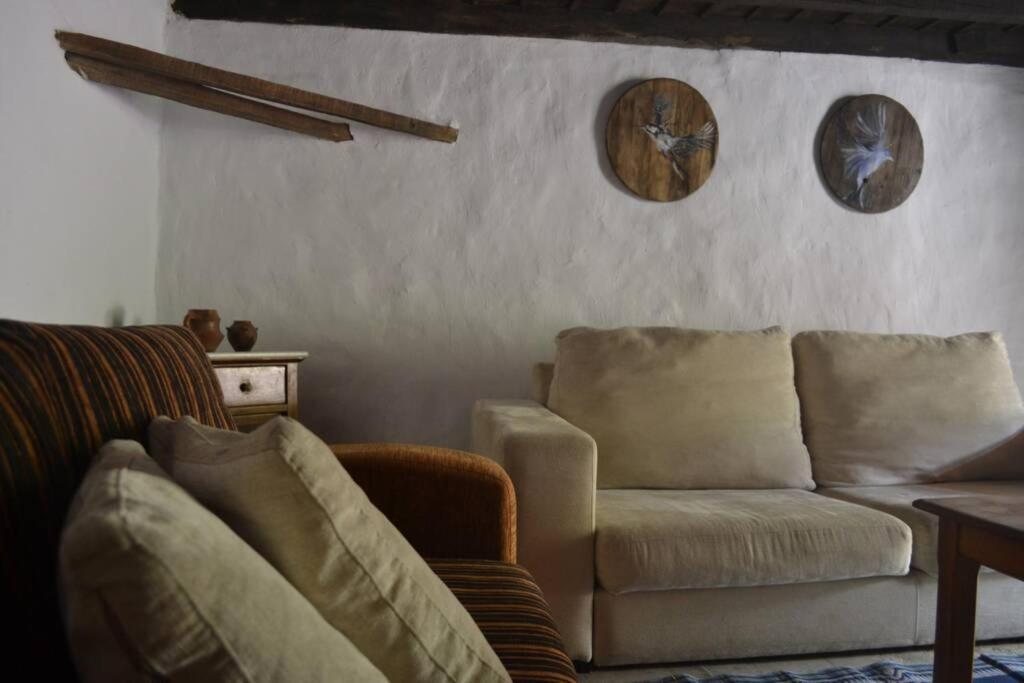 Casa Rural Lomito Del Pino Tejeda  Exterior foto