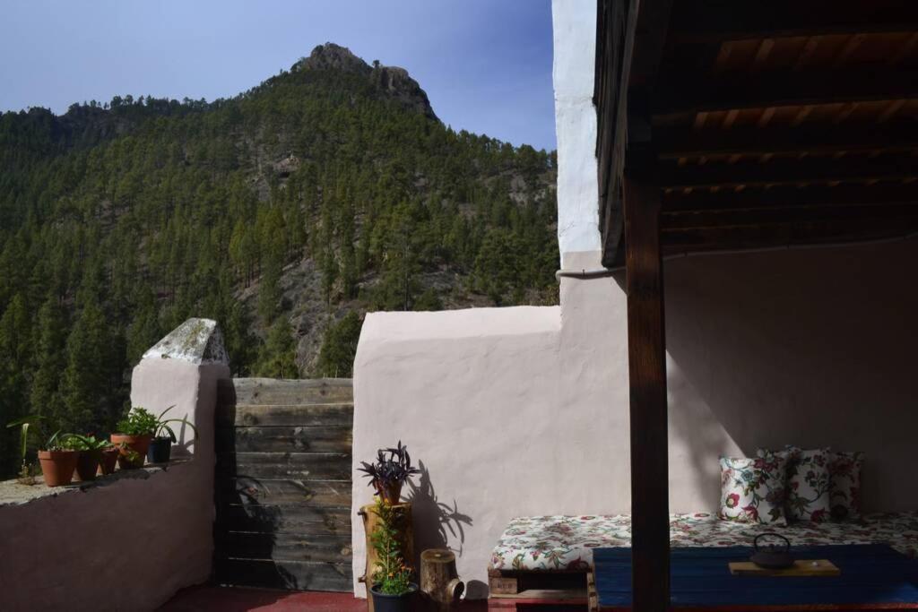 Casa Rural Lomito Del Pino Tejeda  Exterior foto