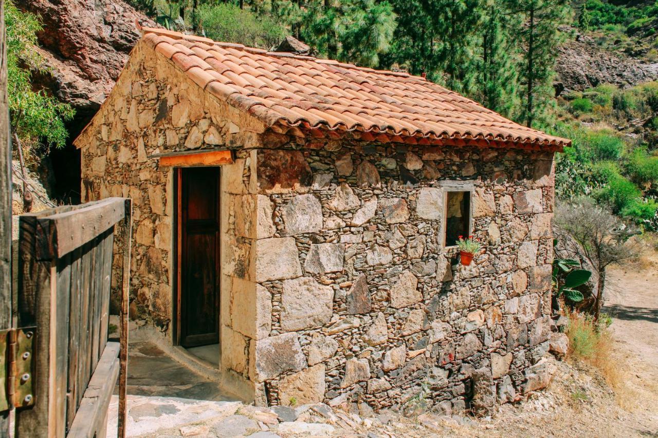 Casa Rural Lomito Del Pino Tejeda  Exterior foto